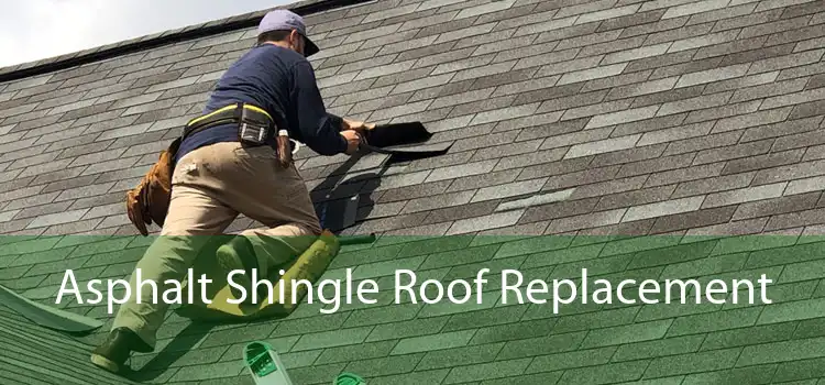 Asphalt Shingle Roof Replacement 