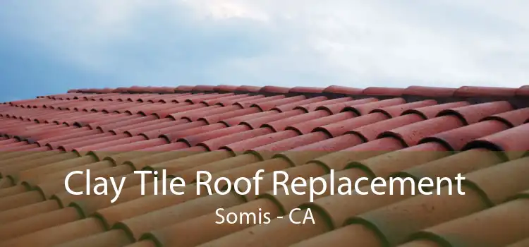 Clay Tile Roof Replacement Somis - CA
