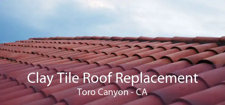 Clay Tile Roof Replacement Toro Canyon - CA