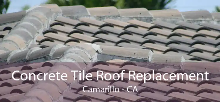 Concrete Tile Roof Replacement Camarillo - CA