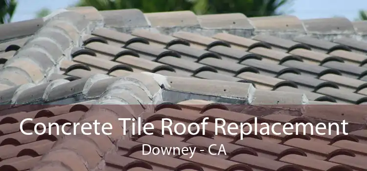 Concrete Tile Roof Replacement Downey - CA