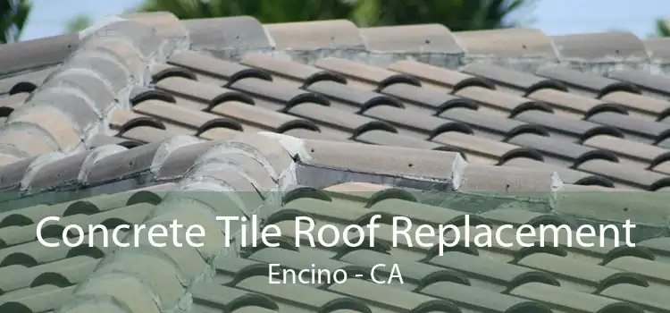 Concrete Tile Roof Replacement Encino - CA
