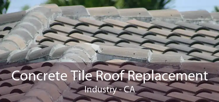 Concrete Tile Roof Replacement Industry - CA