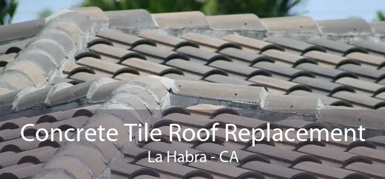 Concrete Tile Roof Replacement La Habra - CA