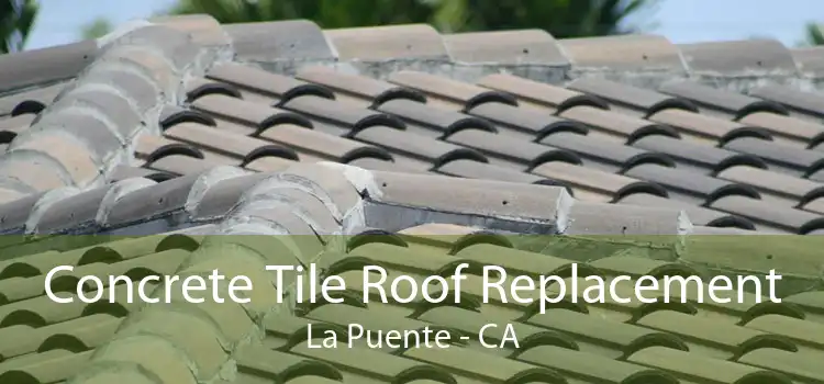 Concrete Tile Roof Replacement La Puente - CA