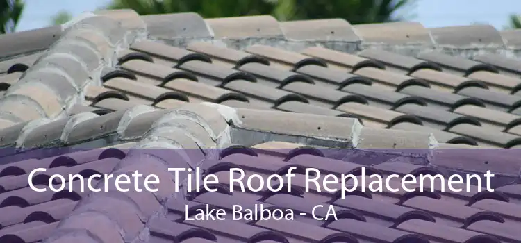 Concrete Tile Roof Replacement Lake Balboa - CA