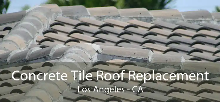 Concrete Tile Roof Replacement Los Angeles - CA