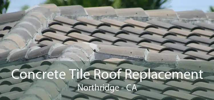 Concrete Tile Roof Replacement Northridge - CA