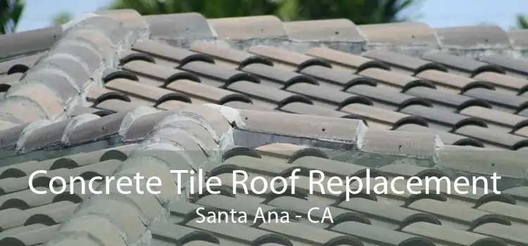 Concrete Tile Roof Replacement Santa Ana - CA
