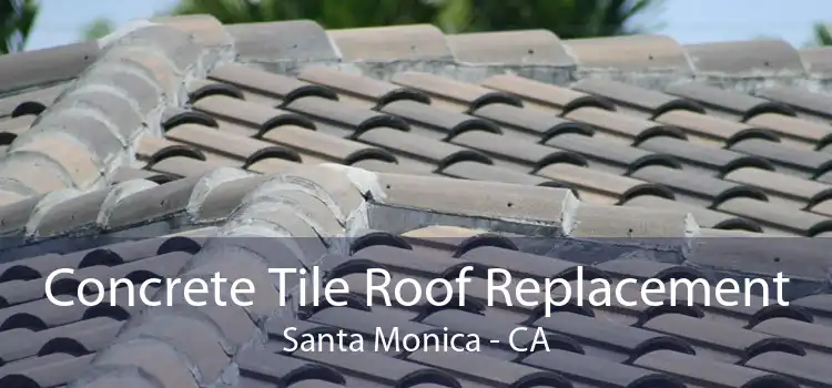 Concrete Tile Roof Replacement Santa Monica - CA