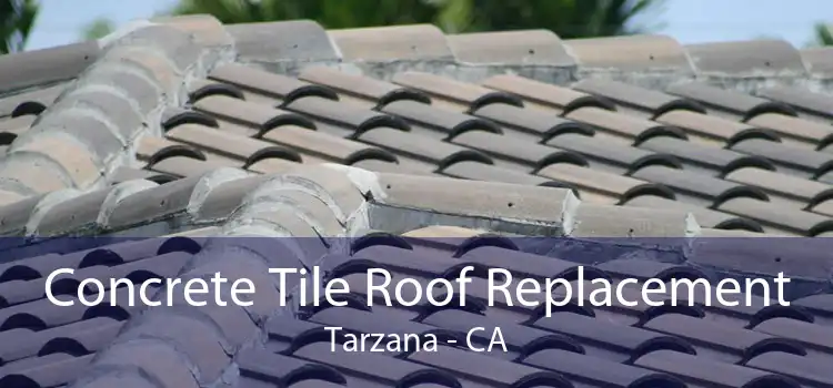 Concrete Tile Roof Replacement Tarzana - CA