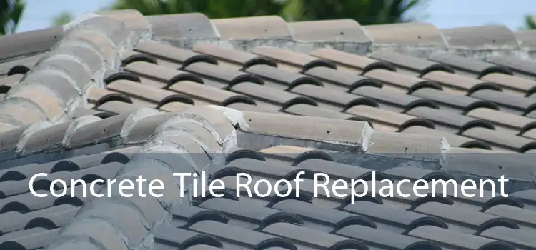 Concrete Tile Roof Replacement 