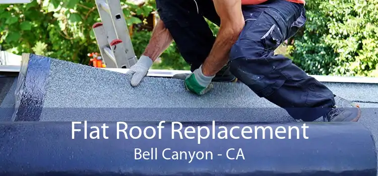 Flat Roof Replacement Bell Canyon - CA