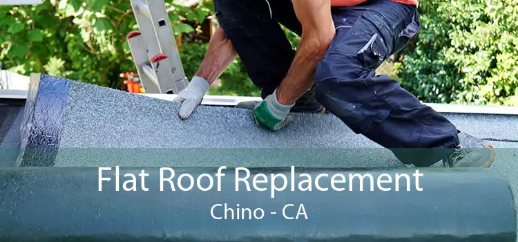 Flat Roof Replacement Chino - CA