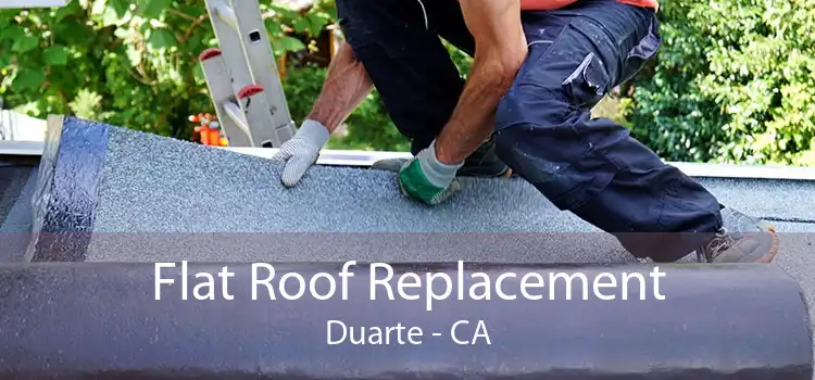 Flat Roof Replacement Duarte - CA