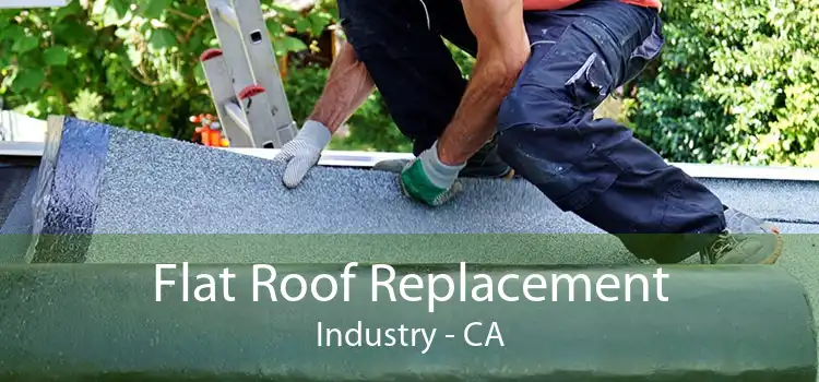 Flat Roof Replacement Industry - CA