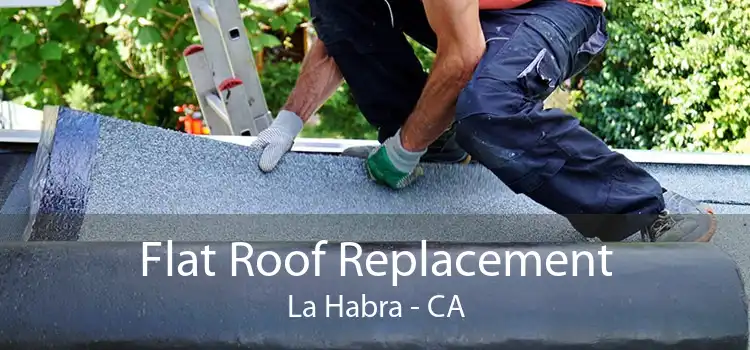 Flat Roof Replacement La Habra - CA