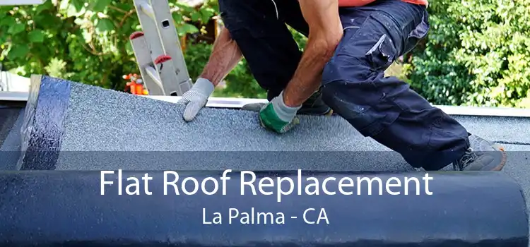 Flat Roof Replacement La Palma - CA