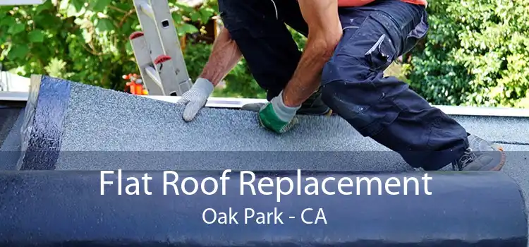 Flat Roof Replacement Oak Park - CA
