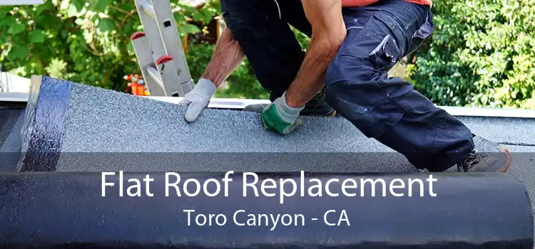 Flat Roof Replacement Toro Canyon - CA