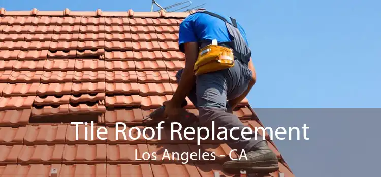 Tile Roof Replacement Los Angeles - CA